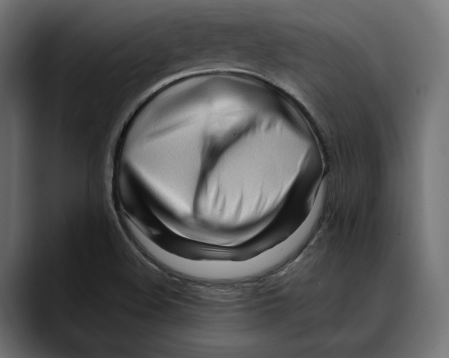 X0000088911508200707061336