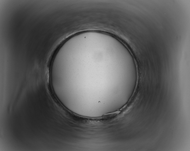 X0000088911509200707061336