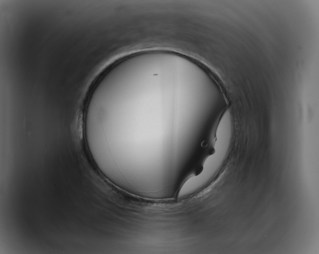 X0000088911510200707061336