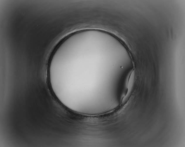 X0000088911511200707061336