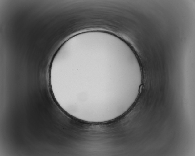 X0000088911516200707061336