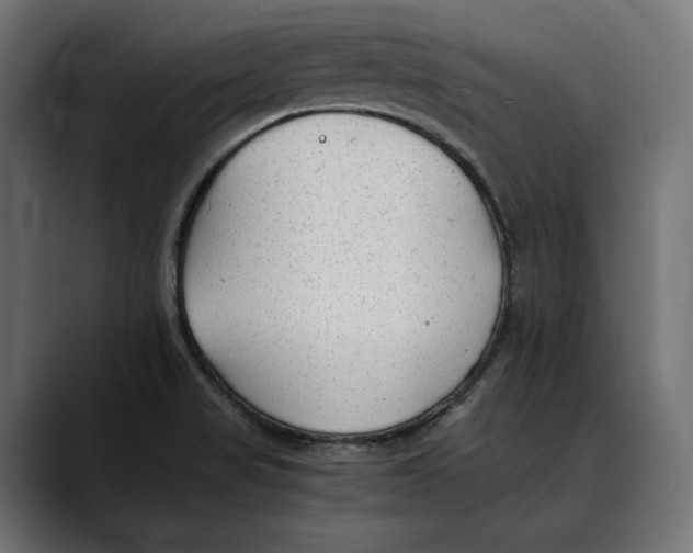 X0000088911517200707061336