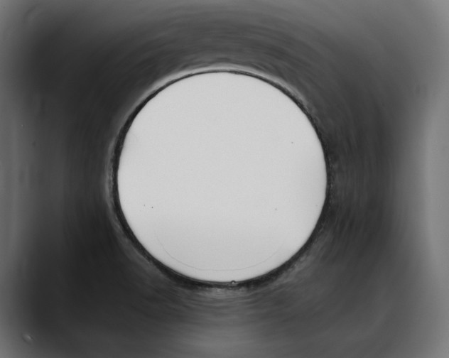 X0000088911518200707061336