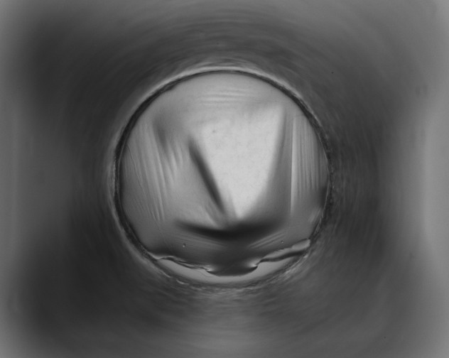 X0000088911519200707061336