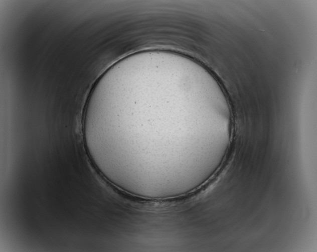 X0000088911521200707061336