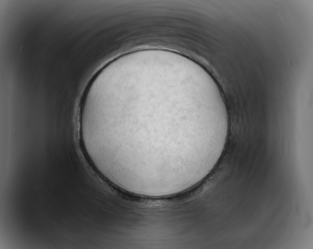 X0000088911522200707061336