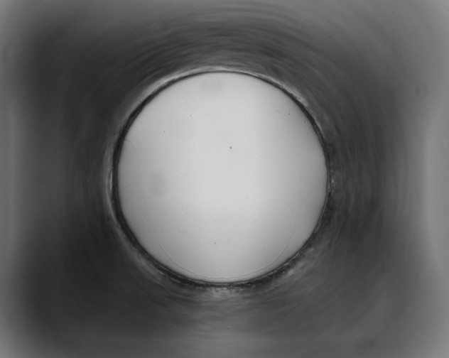 X0000088911523200707061336