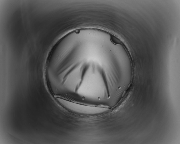 X0000088911525200707061336