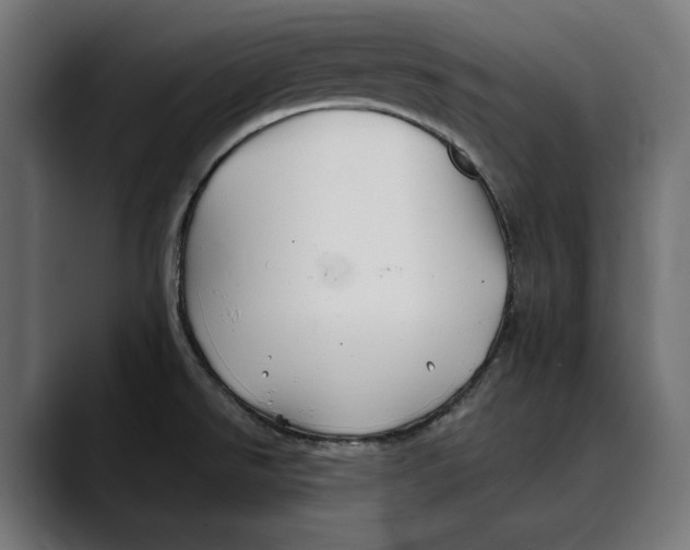 X0000088911526200707061336