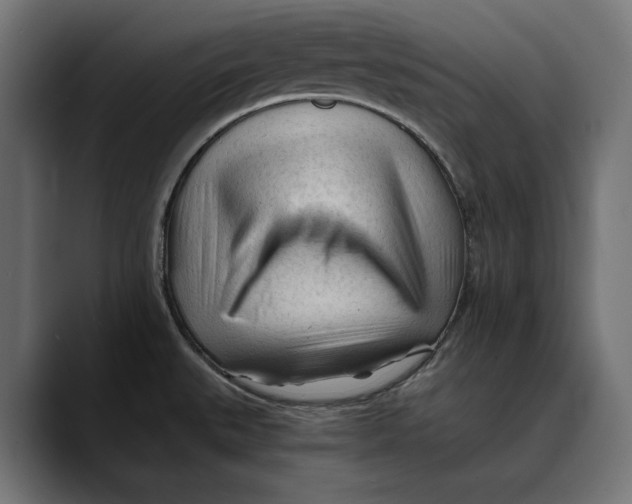 X0000088911527200707061336