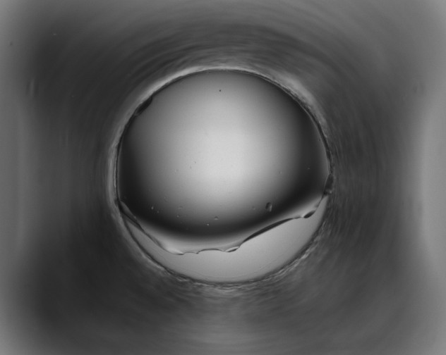 X0000088911528200707061336