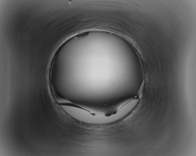 X0000088911530200707061336