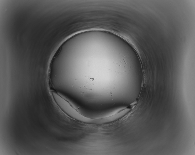 X0000088911532200707061336