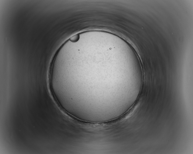 X0000088911533200707061336