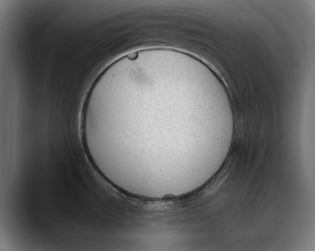 X0000088911535200707061336