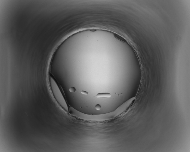 X0000088911536200707061336