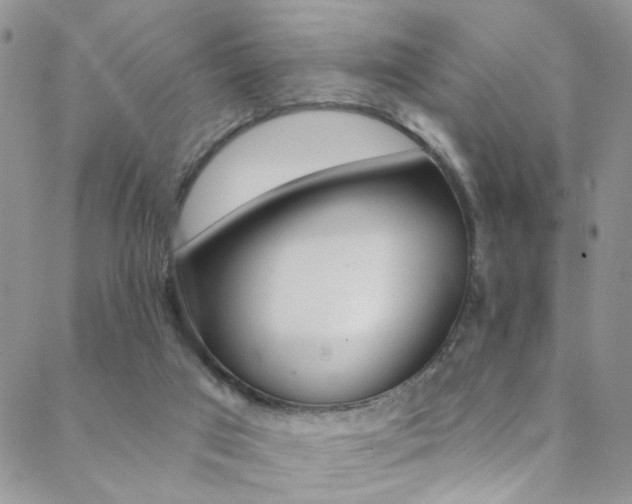 X0000088920017200706080901