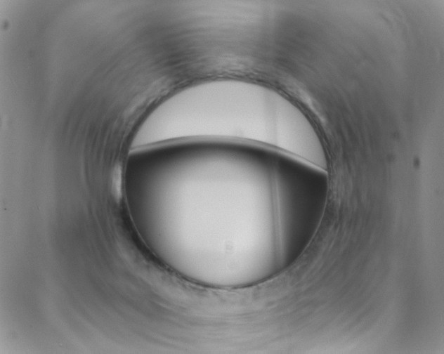 X0000088920027200706080901