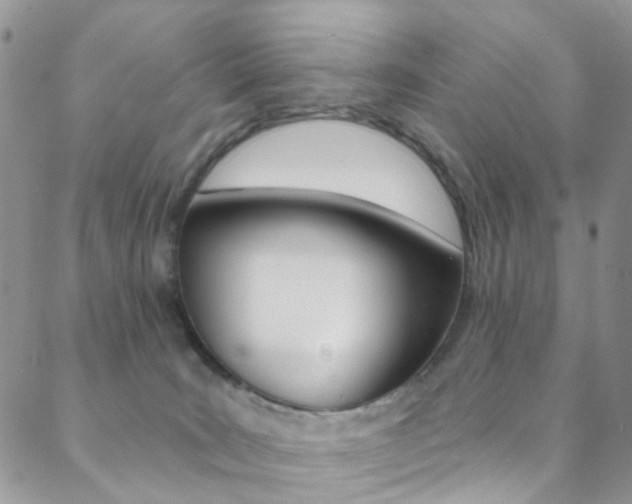 X0000088920035200706080901