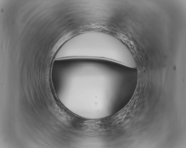 X0000088920051200706080900