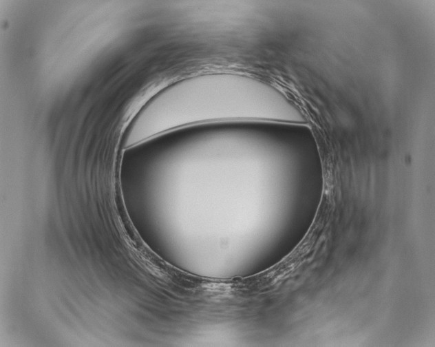 X0000088920052200706080900