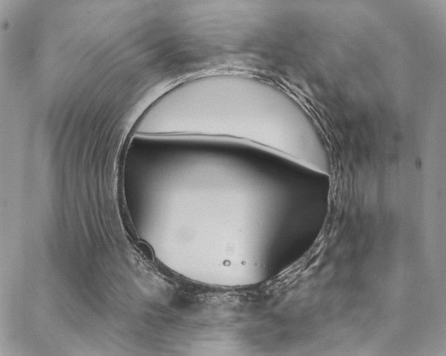 X0000088920100200706080900