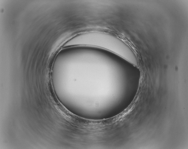 X0000088920101200706080900