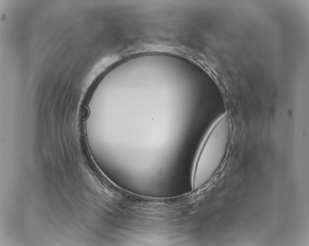 X0000088920104200706080900
