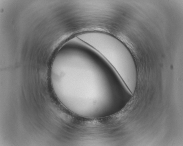 X0000088920112200706080900