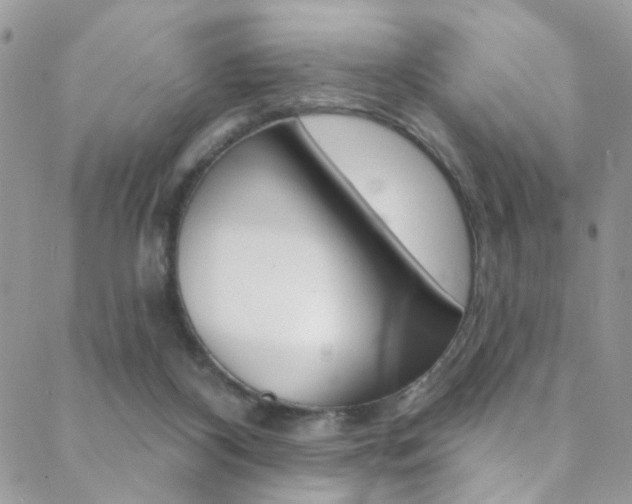 X0000088920116200706080900