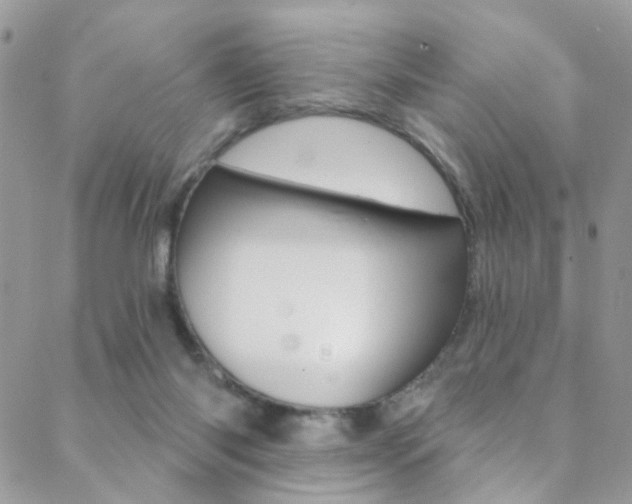 X0000088920118200706080900