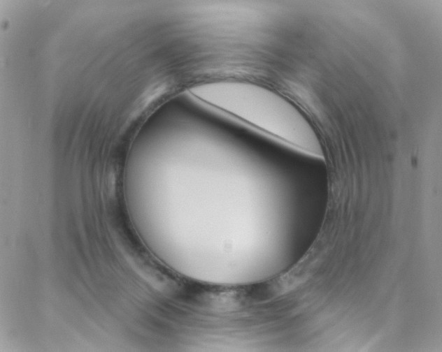 X0000088920120200706080900