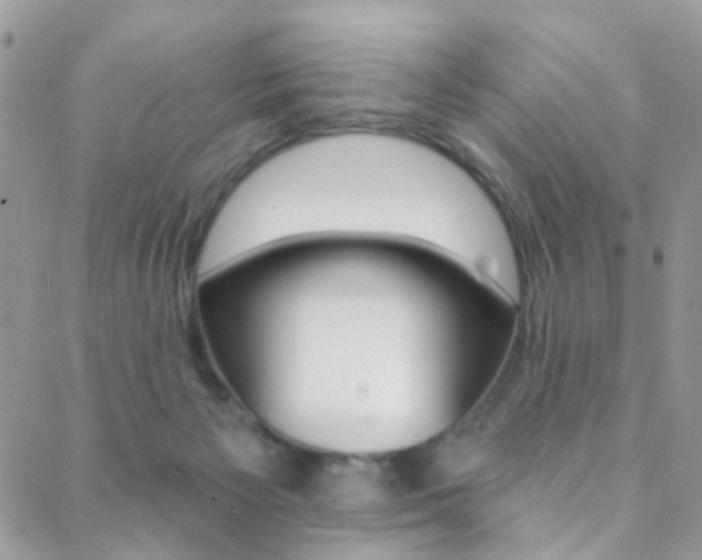 X0000088920125200706080900