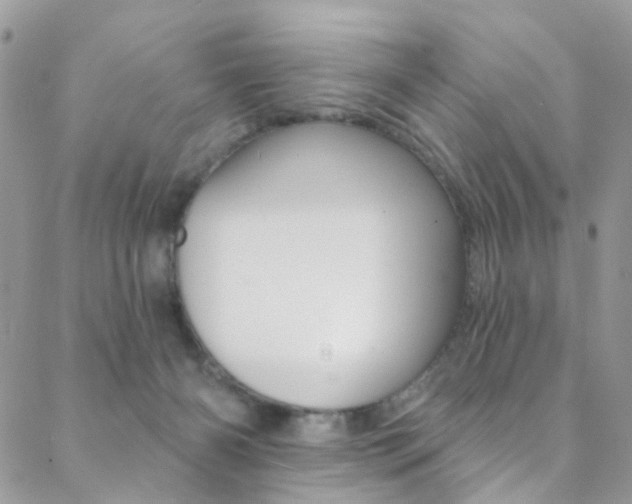 X0000088920126200706080900