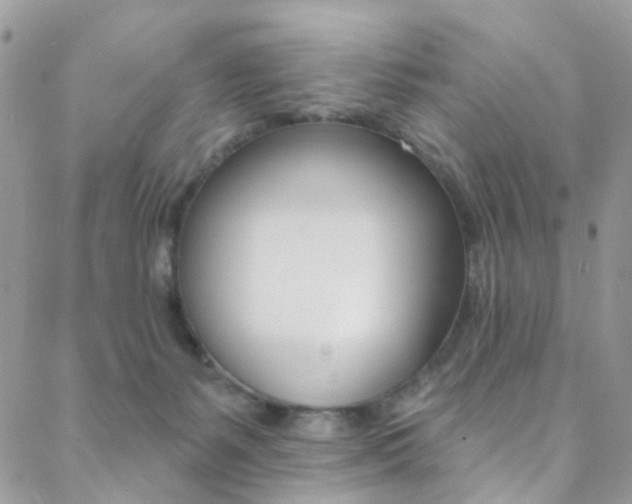 X0000088920127200706080900