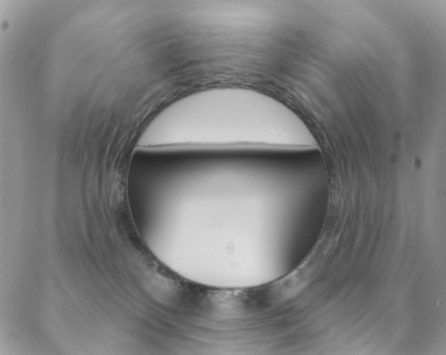 X0000088920136200706080859