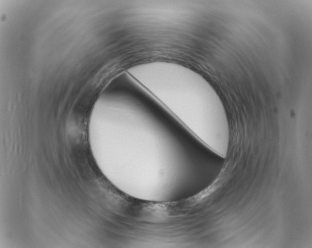 X0000088920140200706080859