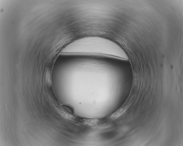 X0000088920143200706080859