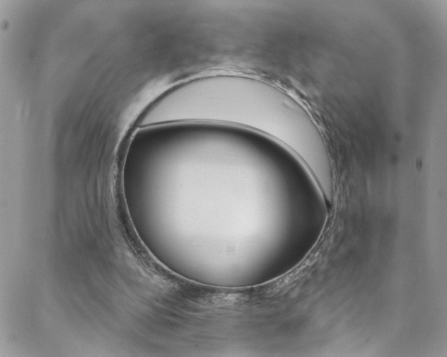 X0000088920152200706080859