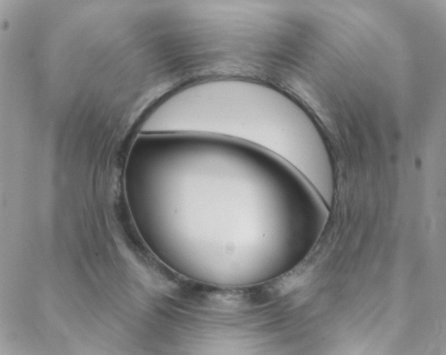 X0000088920164200706080859