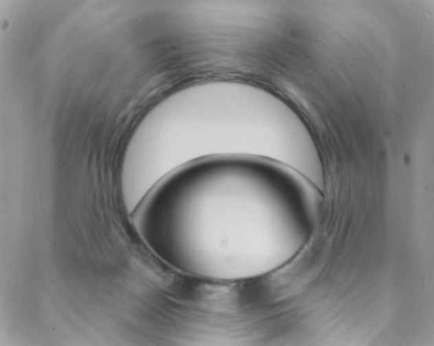 X0000088920170200706080859