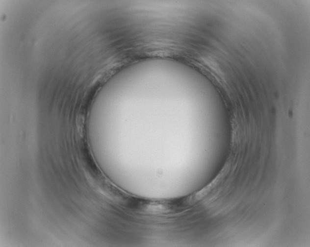 X0000088920171200706080859