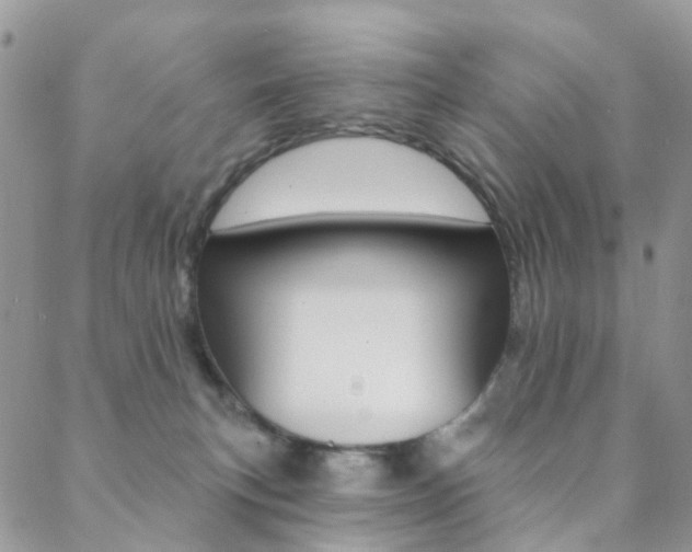 X0000088920183200706080859