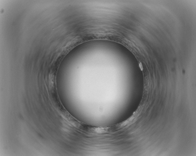 X0000088920184200706080859
