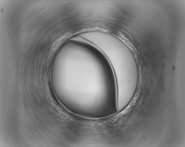 X0000088920193200706080859