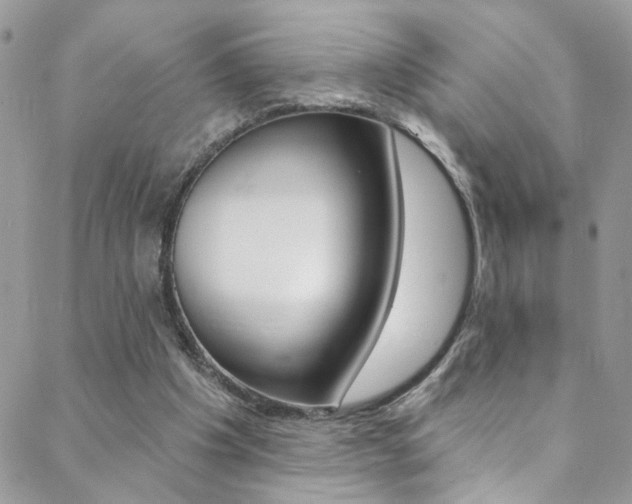 X0000088920201200706080858