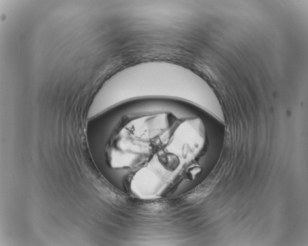 X0000088920237200706080858