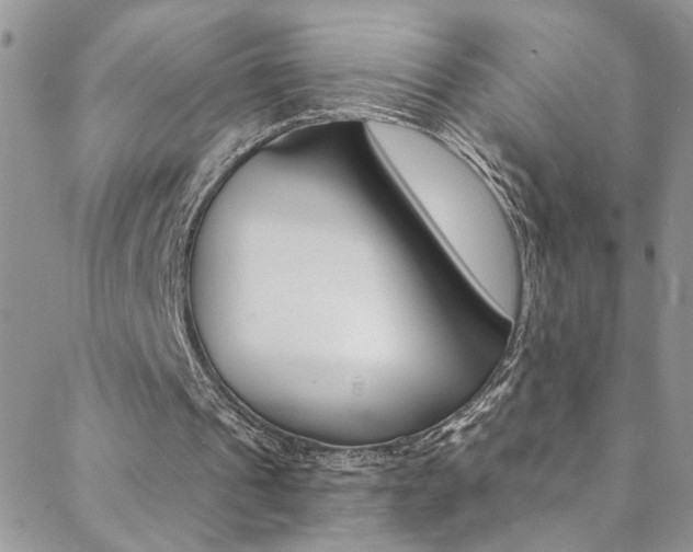 X0000088920241200706080857