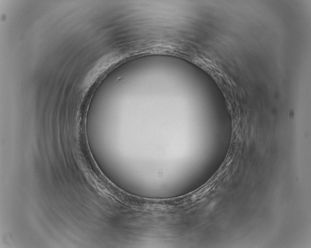 X0000088920242200706080857