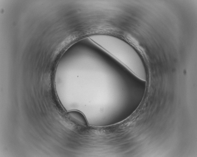 X0000088920250200706080857
